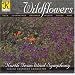Wildflowers