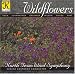 Wildflowers
