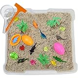 Discovery Box for Sensory Play - Dinosaur Theme