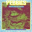Pebbles Volume 3 The Acid Gallery