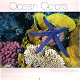 2010 Ocean Colors 16 Month Calendar