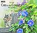 Lang January to December, 13.375 x 24 Inches, Perfect Timing Cats in The Country 2015 Wall Calendar by Susan Bourdet (1001789)