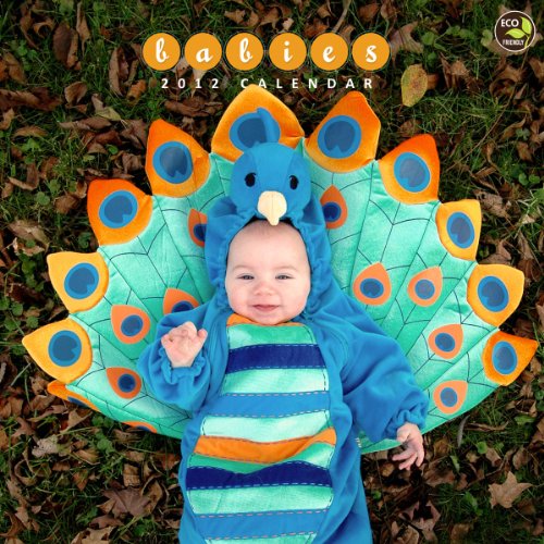 2012 Babies Wall Calendar
