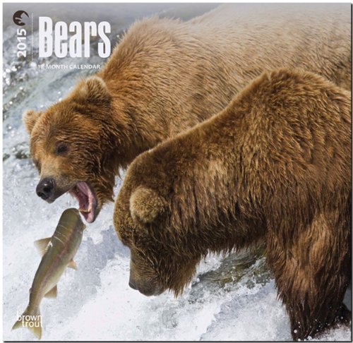bears 2015 square 12x12 multilingual edition