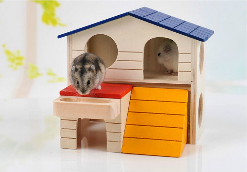 Amazon.com : Pet Small Animal Hideout Hamster House Deluxe Two ...
