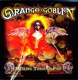 Healing Through Fire [VINYL]