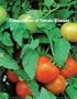 Compendium of Tomato Diseases (APS Disease Compendium Series)