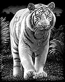 Reeves White Tiger Scraperfoil Artwork, Silver