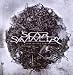 Scar Symmetry-Dark Matter Dimensions