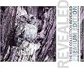 The Web Collection Revealed (Adobe Dreamweaver CS3, Flash CS3 and Photoshop CS3) (Package)