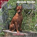 MINIATURE PINSCHER DOG 2009 WALL CALENDAR NEW SEALED