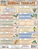Product 1572228989 - Product title Herbal Therapy (Quickstudy: Health)