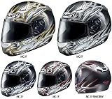 HJC Barbwire Men's CL-SP Sports Bike Racing Motorcycle Helmet - 2007 Model