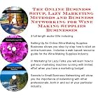 The Online Business Setup, Lazy Marketing Methods, Business Networking for Wine Making... by Wine Making