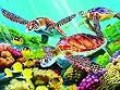 Molokini Turtles (500 Piece Puzzle) Molokini Turtles (500 Piece Puzzle)