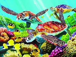 Molokini Turtles (500 Piece Puzzle)