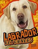 Labrador Retrievers (Edge Books)