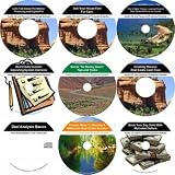 The Ingenious 9 Audio CD No Money Down, Wealth Generating, Real Estate Mentoring System