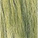 Field Grass, Light Green