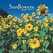 For Sunflower Lovers