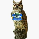 Dalen Prod. SRHO 4 Solar Owl Natural Scarecrow Device
