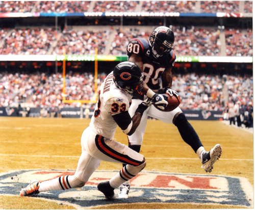 ANDRE JOHNSON HOUSTON TEXANS 8X10 HIGH GLOSSY SPORTS ACTION PHOTO (O)