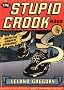 The Stupid Crook Book