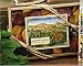 Dried Mixed Fruit -Tray 16 oz Image