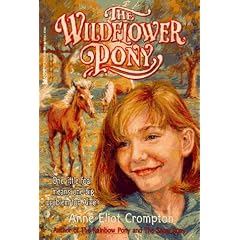The Wildflower Pony