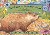 Woodchuck at Blackberry Road (Smithsonian's Backyard)
