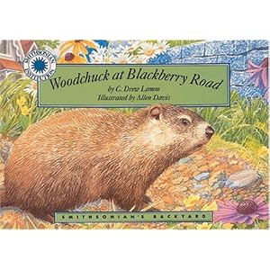 Woodchuck Tunnel
