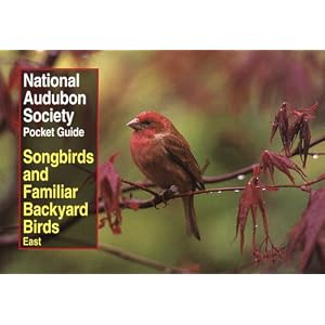 Backyard Birds Summer Perfect Introduction