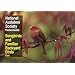 NAS Pocket Guide to Songbirds and Familiar Backyard Birds: Eastern Region (National Audubon Society Pocket Guides)