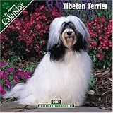 Tibetan Terrier 2007 Wall Calendar