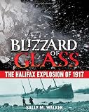 Blizzard of Glass