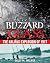 Blizzard of Glass