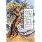 Myths, Tales, Lore, & More