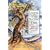 Myths of the Sacred Tree: An Ecological and Spiritual Journey Through the Lore and Legends of Trees