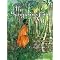 Find folktales and fairy tales from India!