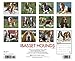 Just Basset Hounds 2015 Wall Calendar