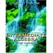 Intermediate Algebra through Applications
