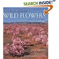 Southern Africa Wildflowers