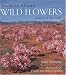 Southern Africa Wildflowers by John Manning ISBN 1770070176