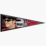 #8 DALE EARNHARDT JR. 12X30 PENNANT FLAG