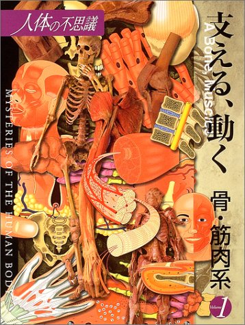 人体の不思議〈第1巻〉支える、動く 骨・筋肉系 (人体の不思議 Volume 1)