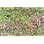 Jumbo Puzzle - Jan van Haasteren - Ascot Horserace (1500 pieces)