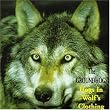 Hogs in Wolf's...