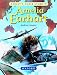 Books : Amelia Earhart: The Pioneering Pilot (What's Their Story?)