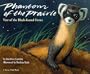 Phantom of the Prairie: Year of the Black-Footed Ferret