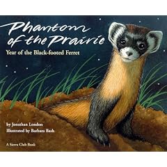 Phantom of the Prairie: Year of the Black-Footed Ferret